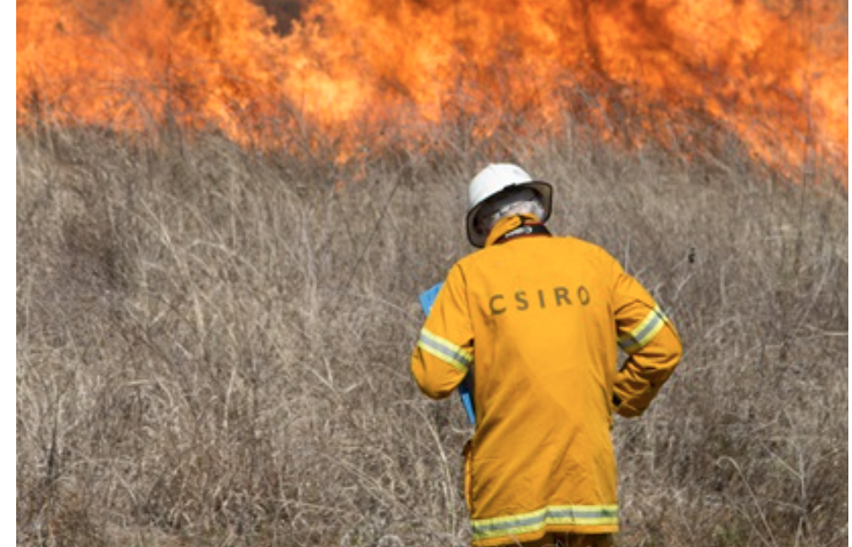 Understanding and Managing Bushfires