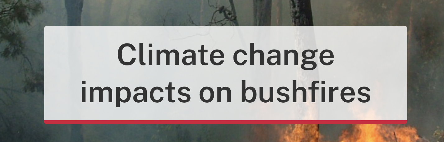 Climate Change and Bushfires